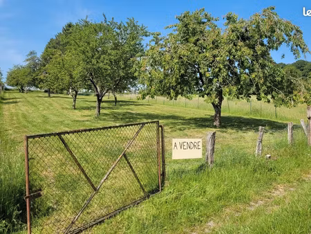 terrain de loisirs - verger