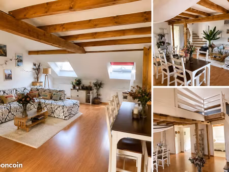 belfort – faubourg de france – appartement traversant de 80 m² carrez (120 m² au sol) avec