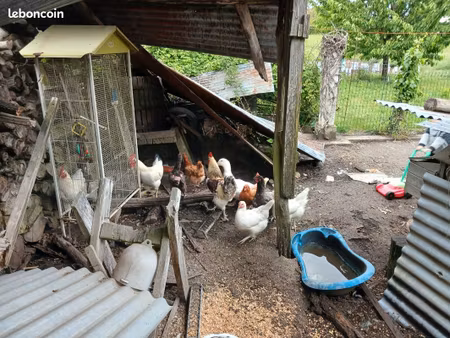 recherche une maison plain-pied