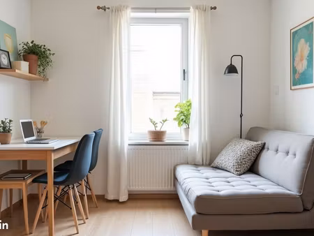 appartement 1 pièce 24 m²