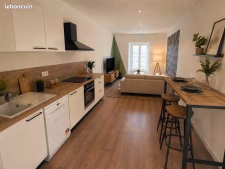 appartement hyper centre ville