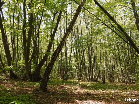 recherche terrain de loisirs 'bois ou littoral