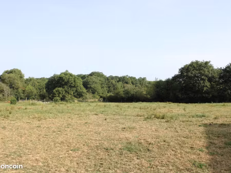 terrain constructible de 4 029 m² – castelnau-tursan