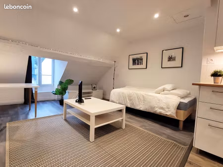 grand studio meublé avec vue centre montargis (option parking privé)