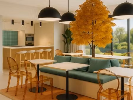 studio 1 pièce 19 m²