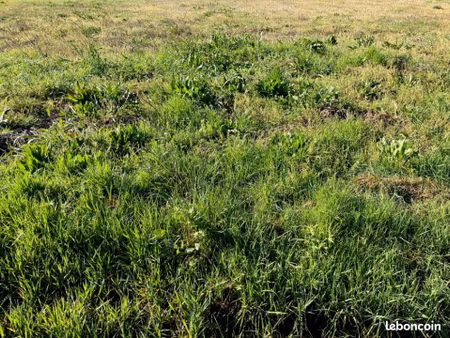 terrain 430 m² saintes