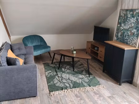 joli f2 de 48m2 meublé