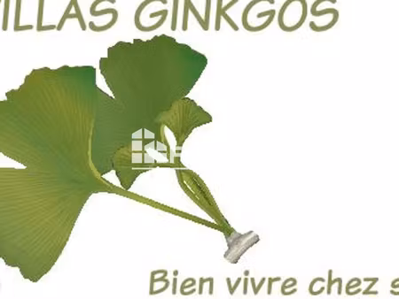 investissement locatif
