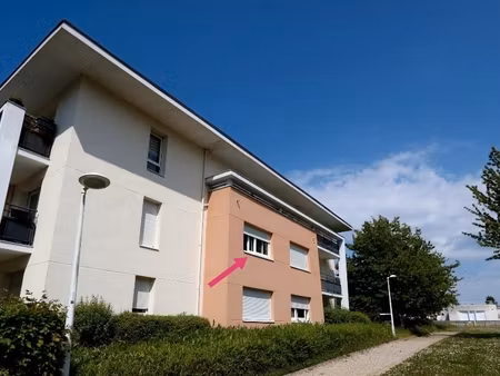 appartement studio 25m2 1 pièce