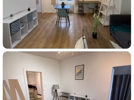 appartement t2 lumineux rénové