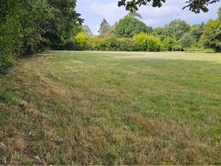terrain 5534m2