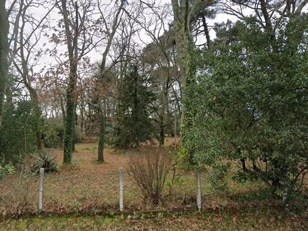 terrain 376 m² parentis en born