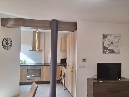 appartement t3 ancely/purpan