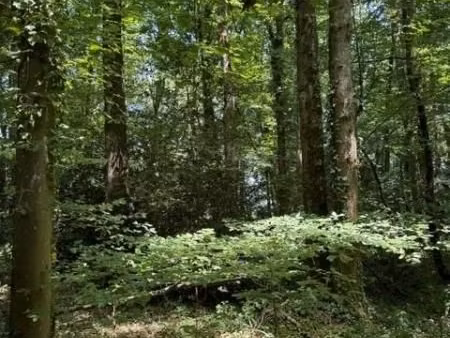 local divers 14560 m² orbec