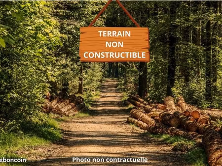terrain 4 500 m² saint christoly de blaye