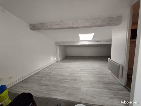 studio 20m2 (carrez)+20m2- quartier st michel- lumineux