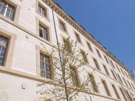 studio 1 pièce 17 m²
