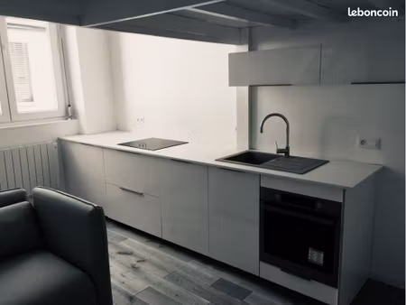 petit cocon lumineux à la croix-rousse : 32 m² de charme