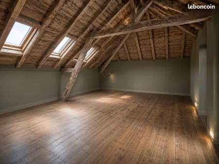 combles aménageables 60m² - centre ville