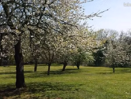maison familiale de 220 m² avec terrain constructible de 3 245 m²