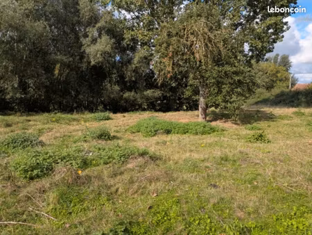 terrain 1100 m² vendegies sur ecaillon