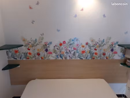 t2 à louer à étudiant libre le 1er juillet  montpellier