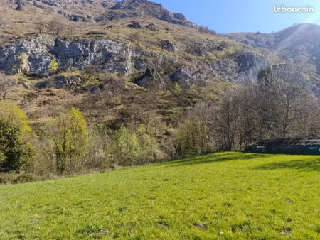 terrain 1 689 m² campan
