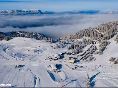 chalet aux pieds des pistes