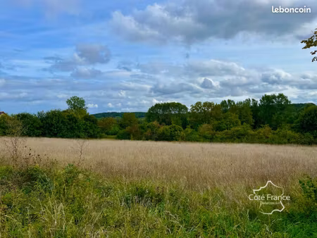 terrain 4740 m² crain