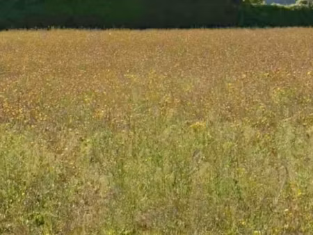 terrain 216 m² aigrefeuille d aunis