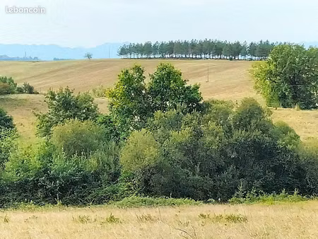terrain 267883 m² margouët-meymes