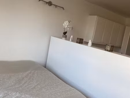 studio 1 pièce 35 m²