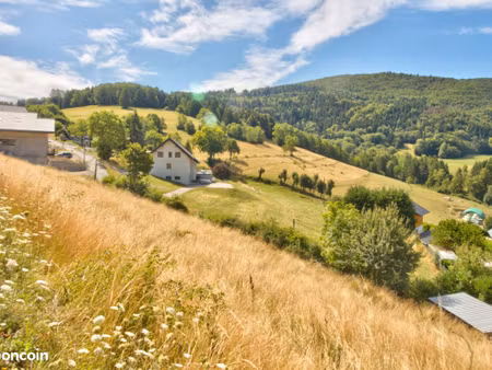 terrain constructible