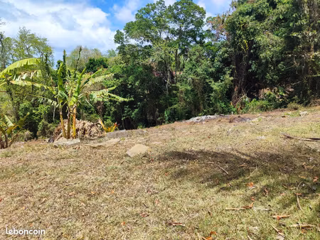 terrain constructible a vendre