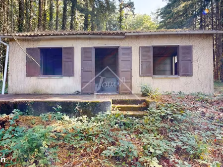 maison 1 pièce 38 m²
