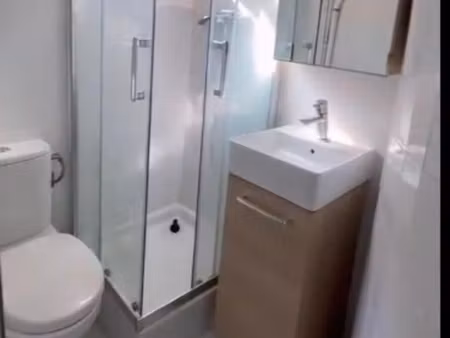 appartement 1 pièce meublé