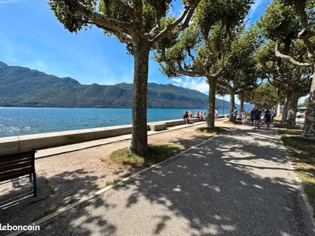 vends 2 pièces bord esplanade du lac