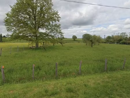 terrain 3 000 m² courcelles les semur