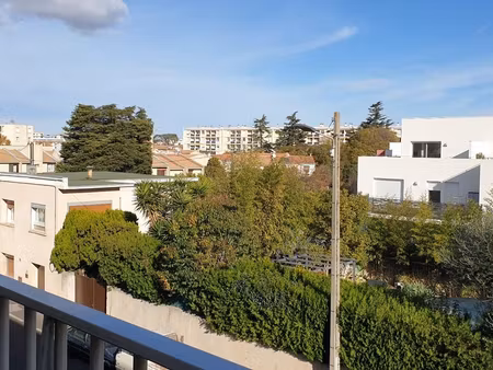 studio 1 pièce 19 m²