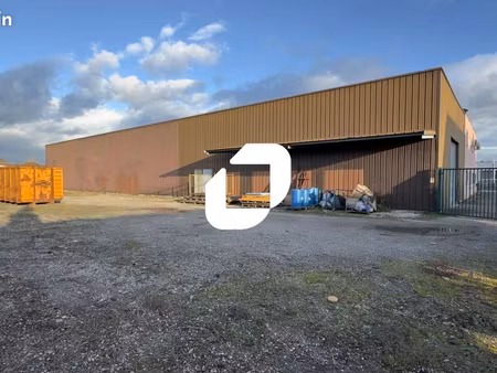 local d'activité 1 262 m²