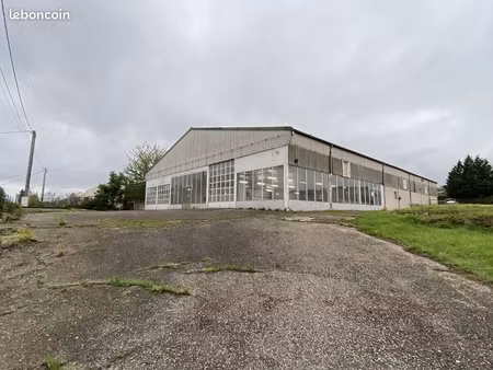 local commercial 1 000 m²