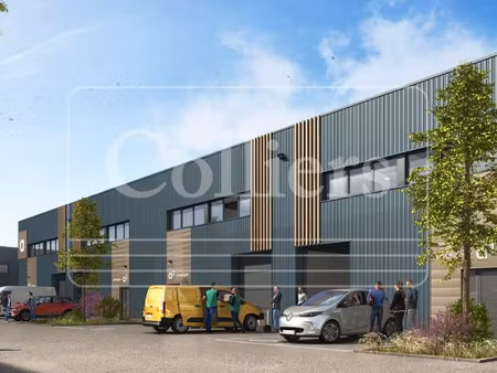 local industriel 298 m²