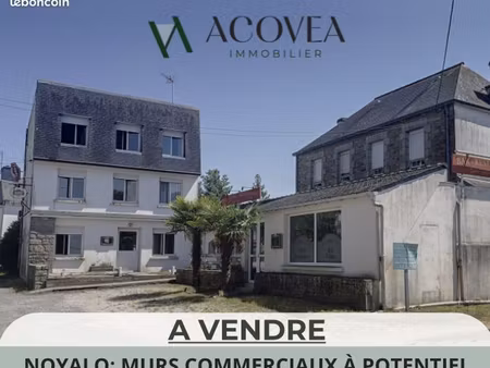 immeuble 450 m² theix-noyalo
