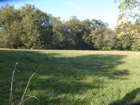terrain 507 m² saint didier de la tour
