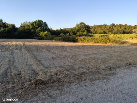terrain agricole