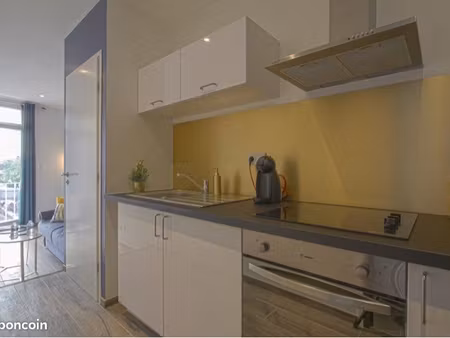 appartement meublé - décoration moderne