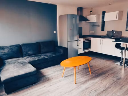 appartement centre ville dijon