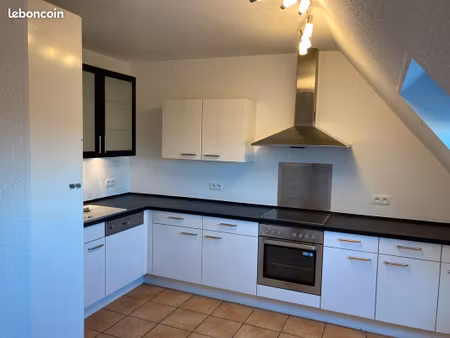bel appartement duplex haguenau