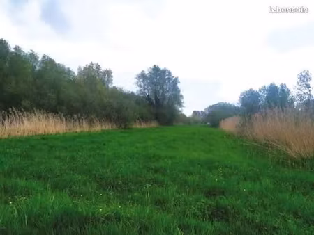 terrain pature bois