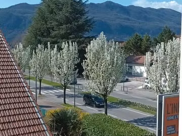 type t3